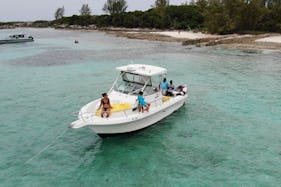 Proline 2950 Walkaround Tour and Snorkeling in Nassau