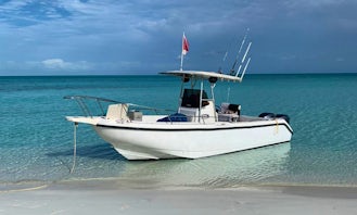 28' Boston Whaler Outrage Fish, Snorkel, Swim with Turtles or Pigs. Island hop up to 12 People