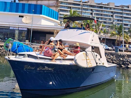 Chris Craft 37Ft for 12 people available for rent in Puerto Vallarta 