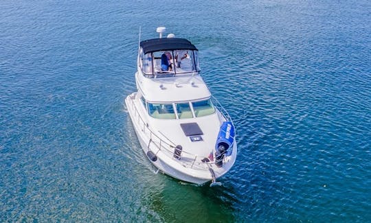 Ponte Searay Sedan “Sea Senora” de 44 pés com plataforma de natação em Miami Beach