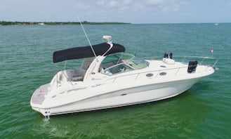 BOOK THIS EXCELENT SEA RAY 36FT IN HAULOVER SANDBAR.