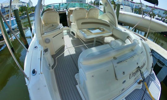 BOOK THIS EXCELENT SEA RAY 36FT IN HAULOVER SANDBAR.