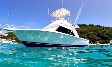 Private Boat Experience! Classic Phoenix Flybridge in beautiful Fajardo!