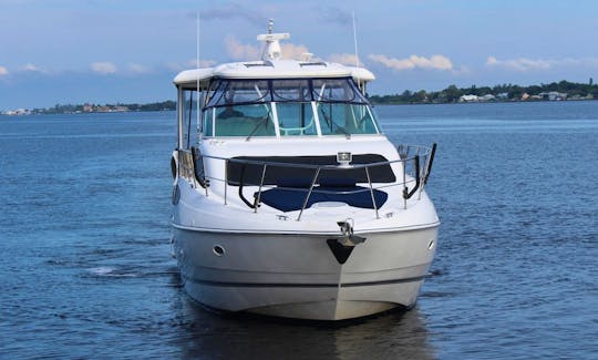"Sandy Feet" Cruiser Yachts 455 For Up to 12 Guests in Miami