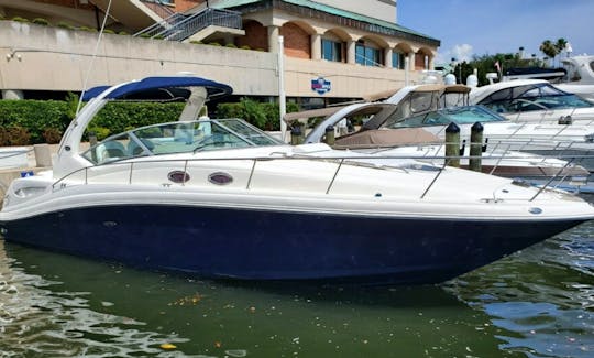 Sea Ray 340 Sundancer de «Net Prophet»