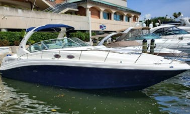 « Net Prophet » Sea Ray 340 Sundancer