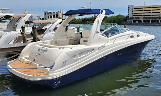 Sea Ray 340 Sundancer de «Net Prophet»