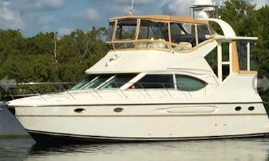 "King's One" Maxum M/Y Luxury 40' Flybridge Motor Yacht for Charter in Miami Beach