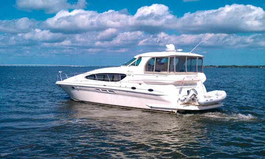 "Carolina Daze" 52' Searay 480 Motor Yacht to Explore Southwest Florida!