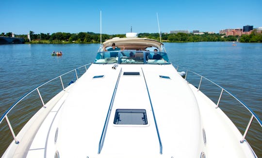 "Nautiday" 42' SeaRay 450 Sundancer for Local Sightseeing and More on Potomac River
