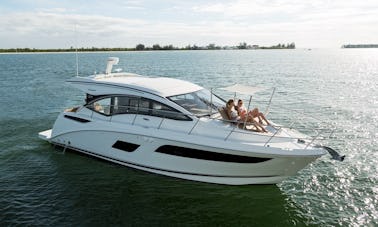 "Soni" Sea Ray Sundancer 40' Luxury Yacht Charter in Miami Beach
