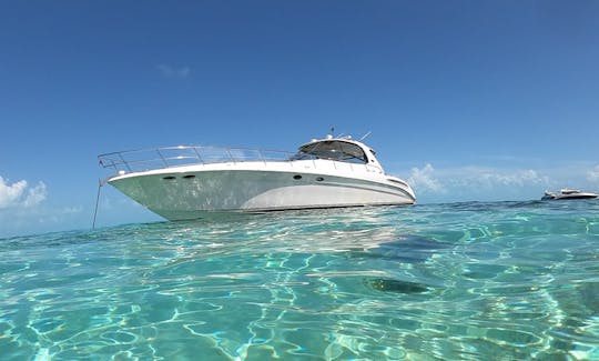 "Nauti Buoyz" Sea Ray 550 Sundancer