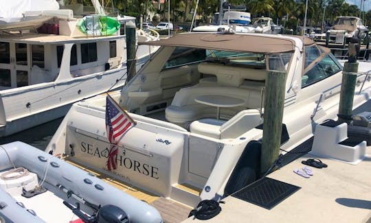 "Sea Horse" Sea Ray 500 Sundancer