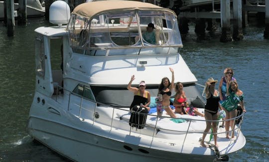 "Shaken Knot Stirred III" 42' Sea Ray  With Water Toys in Fort Lauderdale