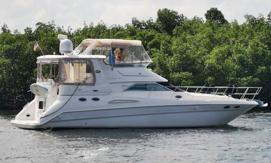 "Shaken Knot Stirred III" 42' Sea Ray  With Water Toys in Fort Lauderdale