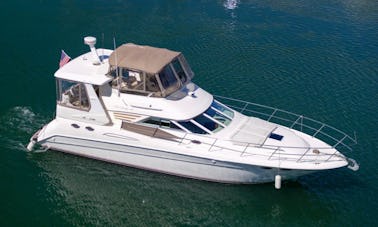 "Shaken Knot Stirred III" 42' Sea Ray  With Water Toys in Fort Lauderdale