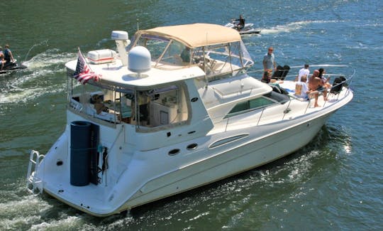 "Shaken Knot Stirred III" 42' Sea Ray  With Water Toys in Fort Lauderdale