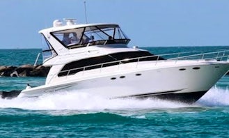 "Diamond D" Sea Ray Sedan 48ft Luxury Motor Yacht for Charter in Riviera Beach