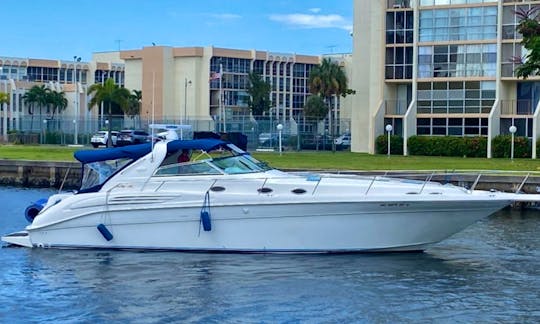 "Here After" Sea Ray 500 Sundancer