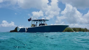 Visite touristique et plongée avec tuba en bateau dans les îles Vierges américaines - Journée privée 