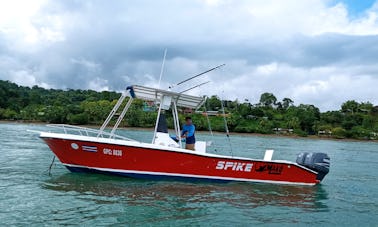 Barco Mako de 30 pés para pesca costeira/offshore e passeios de observação de golfinhos/baleias