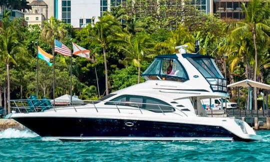 ''Lady's First'' Sea Ray Sedan Bridge Motor Yacht to Enjoy The Views in Miami