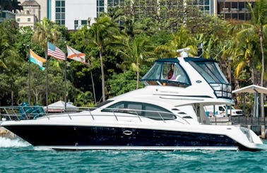 ''Lady's First'' Sea Ray Sedan Bridge Motor Yacht to Enjoy The Views in Miami