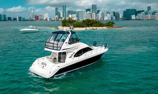 ''Lady's First'' Sea Ray Sedan Bridge Motor Yacht to Enjoy The Views in Miami