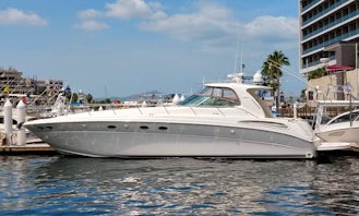 55Ft Sea Ray Yacht Charter in Cabo San Lucas