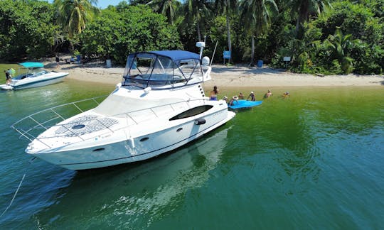 Yacht de luxe Regal de 43 pieds à louer et à faire la fête en Floride