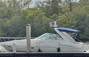 ''Rey of Sunshine'' 34' Cruisers 340 Express Motor Yacht Rental in Dania Beach, Florida