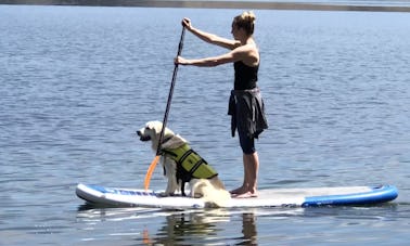 Pathfinder P73 Paddle Boards 9ft Long for Rent