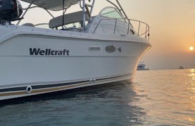 Wellcraft Coastal 29' Private Charter in Fajardo