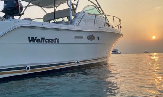 Wellcraft Coastal 29' Private Charter in Fajardo