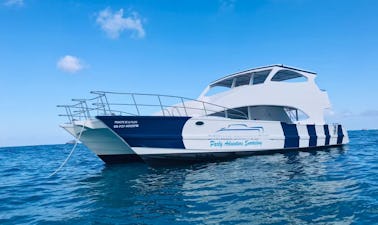 Power Catamaran Rental in Cabarete, Dominican Republic