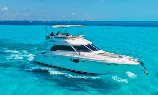 Sail on Amazing Sea Ray 53ft with flybridge perfect for 22 people min 4hours