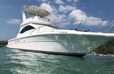 Sea Ray 40ft Luxury Yacht for Charter in Miami