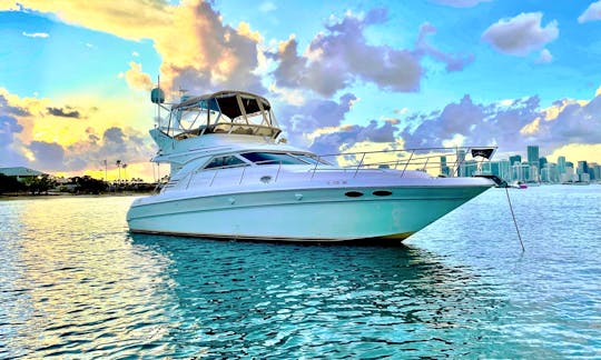 **Miami Cruise  -  45 Ft Luxury Cruiser - Includes Refreshments 