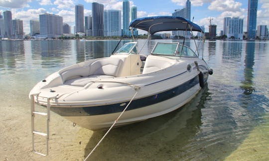 Enjoy 5 IDENTICAL 26' Sea Ray Sundeck in Miami! ALWAYS AVAILABLE! (HUGE WEEKDAY DISCOUNTS)