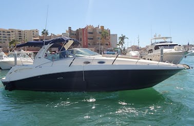 Sea Ray 350 Luxury Charter for Up to 10 Guests in Cabo, San Lucas