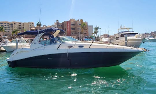 Sea Ray 350 Luxury Charter for Up to 10 Guests in Cabo, San Lucas
