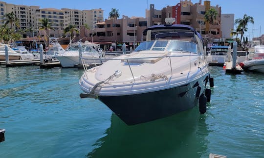 Sea Ray 350 Luxury Charter for Up to 10 Guests in Cabo, San Lucas