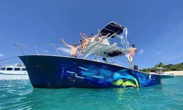 Yacht à moteur personnalisé de 36 pieds pour des excursions d'une journée incroyables ! Familles, Anniversaires, Bachelor/ette