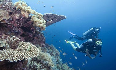 Viagens e cursos de mergulho diurnos e noturnos em Mersing Pahang, Malásia