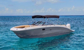SEA RAY SDX 28’ 2021 for 10 passengers to el cielo.
