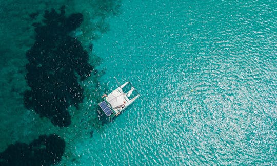 Charter LBV Catamaran in Ibiza, Spain