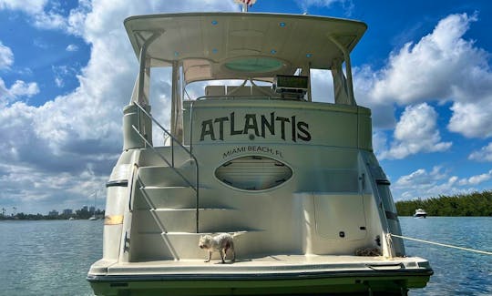 "Atlantis" Maxum SCA 4500