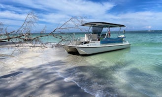 Private Custom Boat Tours, Sunset Trips, Snorkeling and More around Anna Maria Island