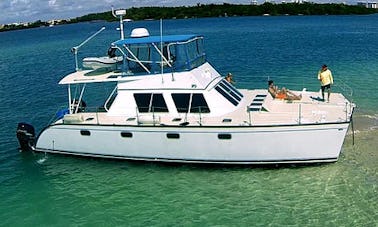 "The Cats Meow" Custom Cats Catamaran