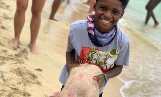 Swim with the Pigs and Turtles, Snorkel Lunch/Drinks Conch Show Pickup and drop off included